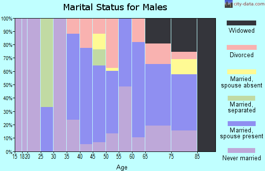 Zip code 64763 marital status for males