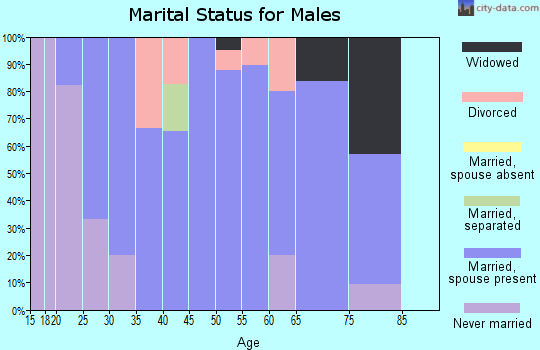 Zip code 64769 marital status for males