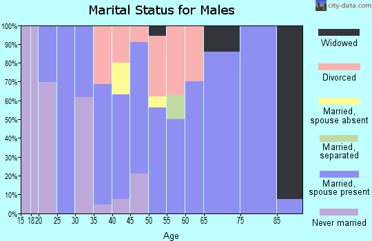 Zip code 64784 marital status for males