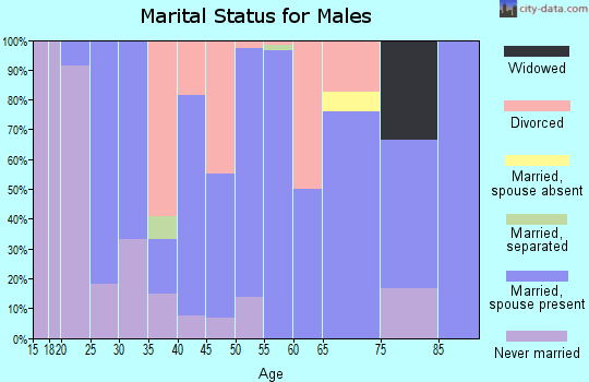 Zip code 64832 marital status for males