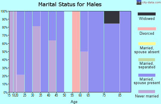 Zip code 64841 marital status for males