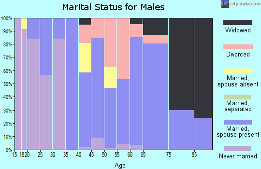 Zip code 64843 marital status for males