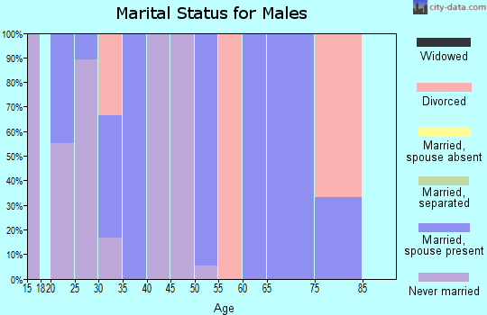 Zip code 64848 marital status for males