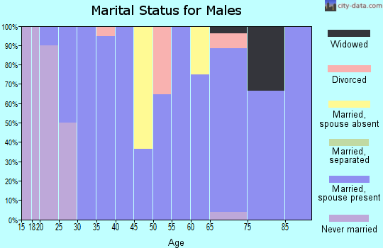 Zip code 64857 marital status for males
