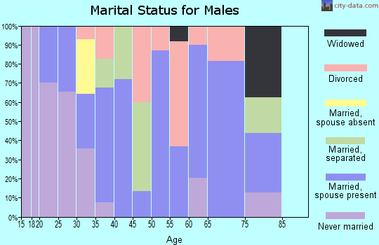 Zip code 64863 marital status for males