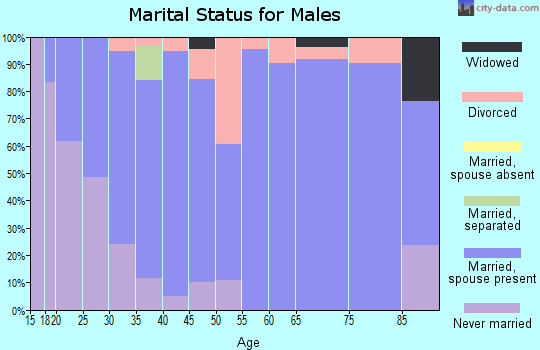 Zip code 64865 marital status for males