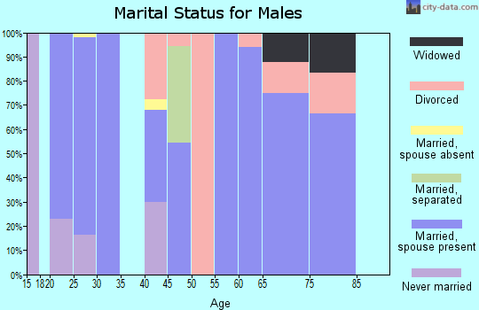 Zip code 64873 marital status for males