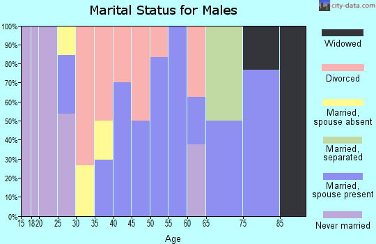 Zip code 64874 marital status for males