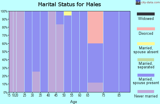 Zip code 65001 marital status for males