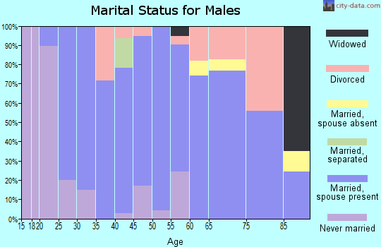 Zip code 65010 marital status for males