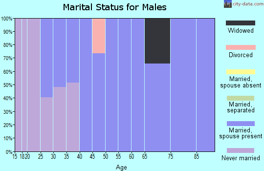 Zip code 65016 marital status for males