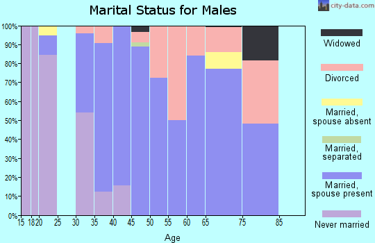 Zip code 65023 marital status for males