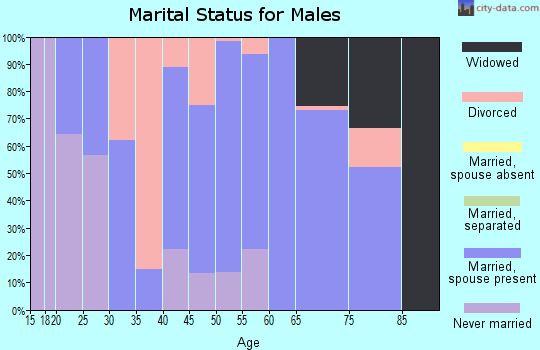 Zip code 65024 marital status for males