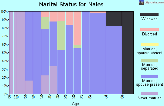 Zip code 65025 marital status for males