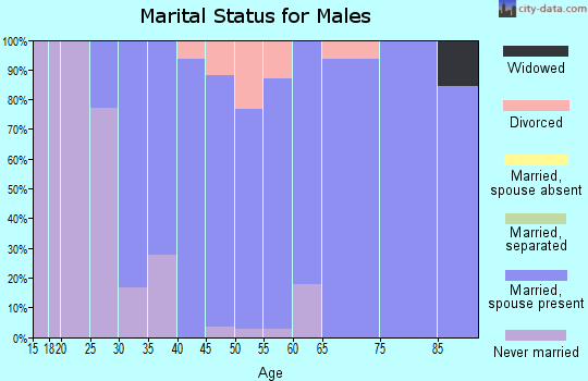 Zip code 65035 marital status for males