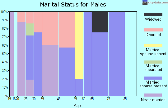 Zip code 65036 marital status for males