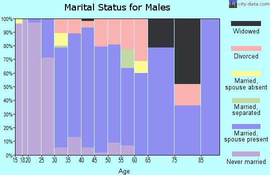 Zip code 65043 marital status for males