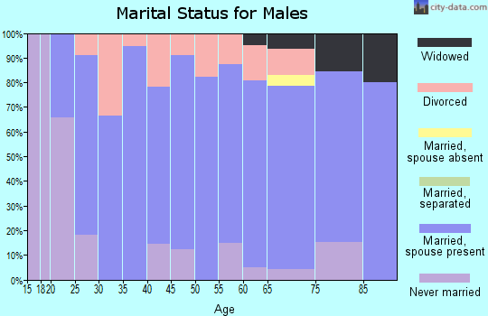 Zip code 65046 marital status for males