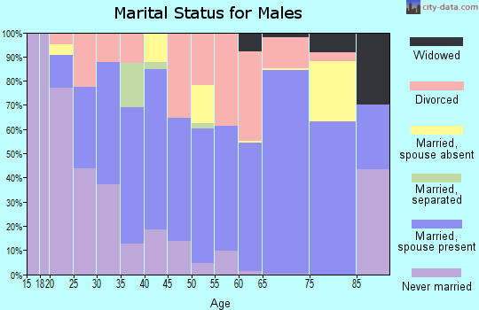 Zip code 65049 marital status for males