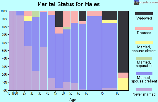 Zip code 65051 marital status for males