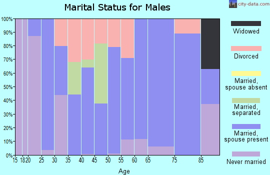 Zip code 65052 marital status for males