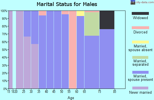 Zip code 65059 marital status for males