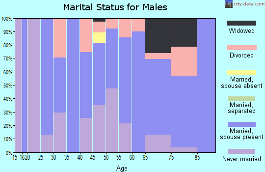 Zip code 65061 marital status for males