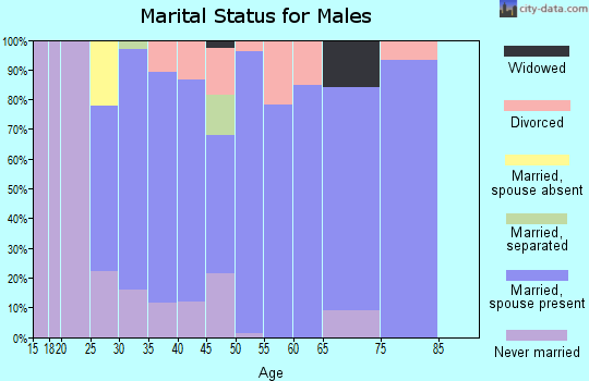 Zip code 65063 marital status for males