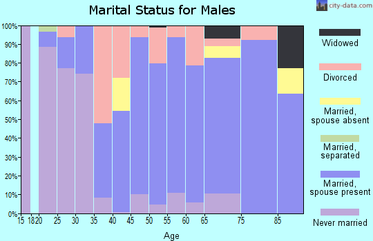 Zip code 65065 marital status for males