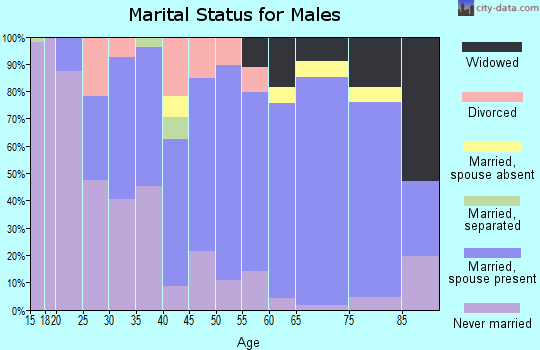 Zip code 65066 marital status for males