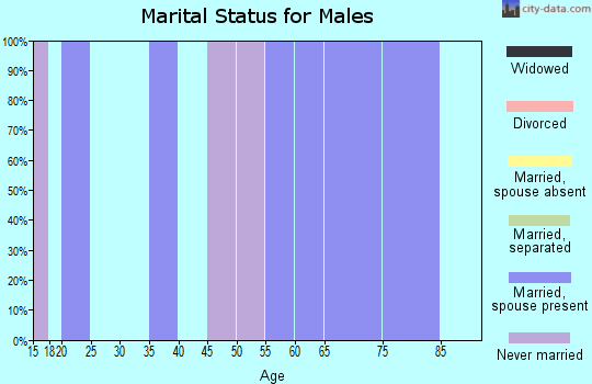 Zip code 65067 marital status for males