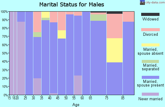 Zip code 65074 marital status for males