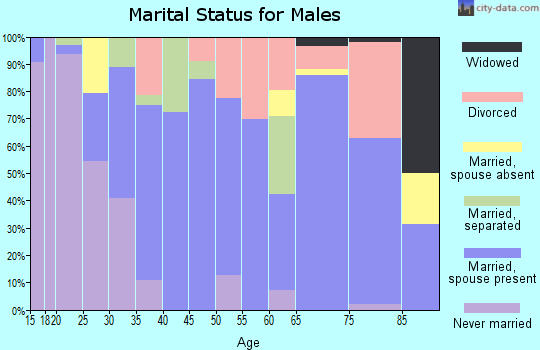 Zip code 65078 marital status for males