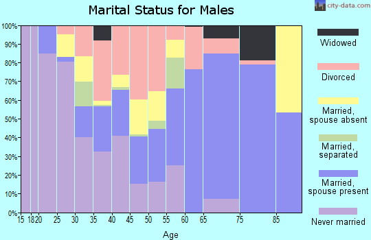 Zip code 65081 marital status for males