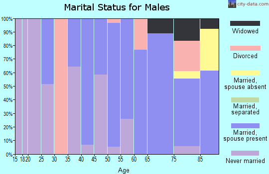 Zip code 65085 marital status for males