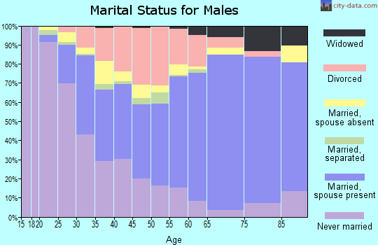 Zip code 65101 marital status for males