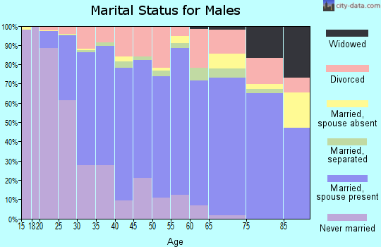 Zip code 65202 marital status for males