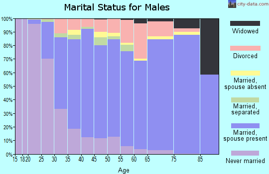 Zip code 65203 marital status for males