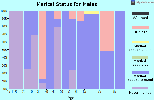Zip code 65230 marital status for males