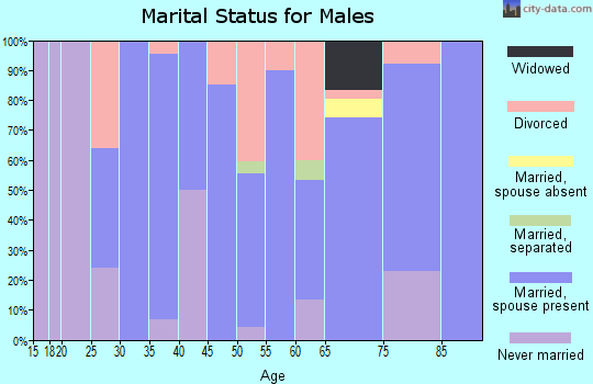 Zip code 65237 marital status for males