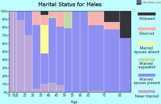 Zip code 65239 marital status for males