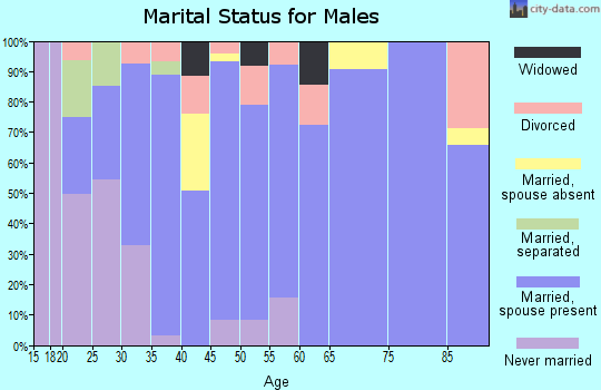 Zip code 65240 marital status for males