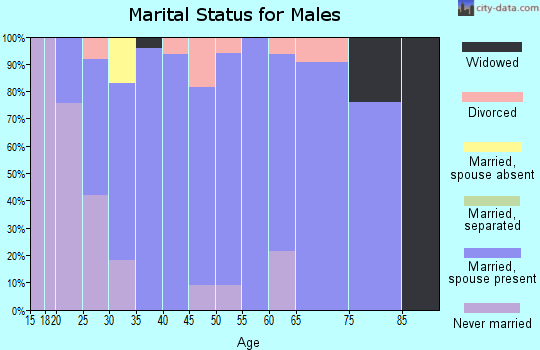 Zip code 65243 marital status for males
