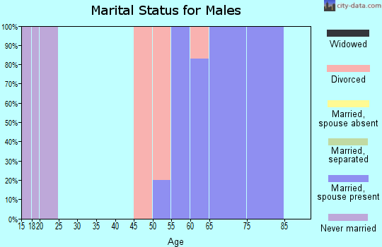 Zip code 65244 marital status for males