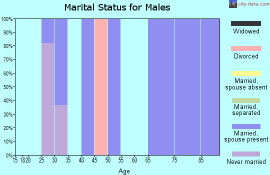 Zip code 65246 marital status for males