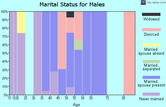Zip code 65250 marital status for males