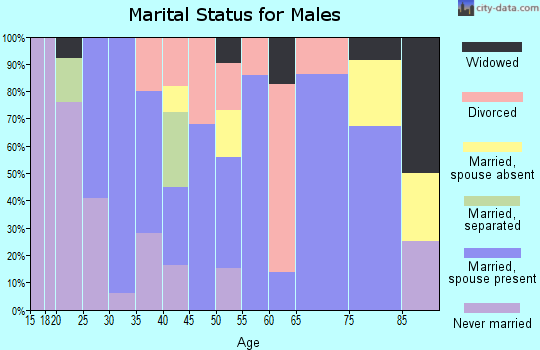 Zip code 65254 marital status for males