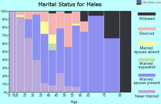 Zip code 65259 marital status for males