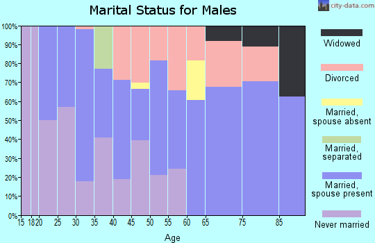 Zip code 65261 marital status for males