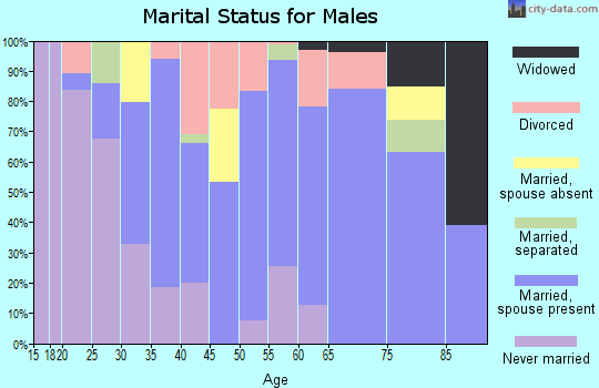 Zip code 65263 marital status for males